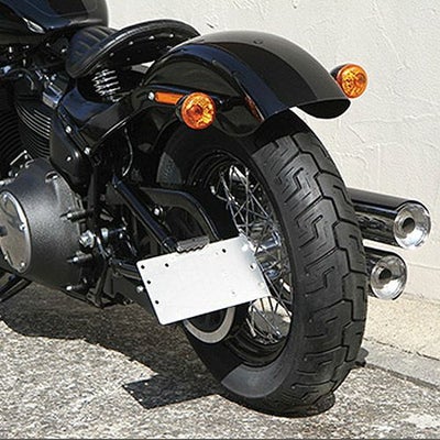 EASY RIDERS　サイドマウントナンバープレート&ライセンスライトKIT 横専用-01