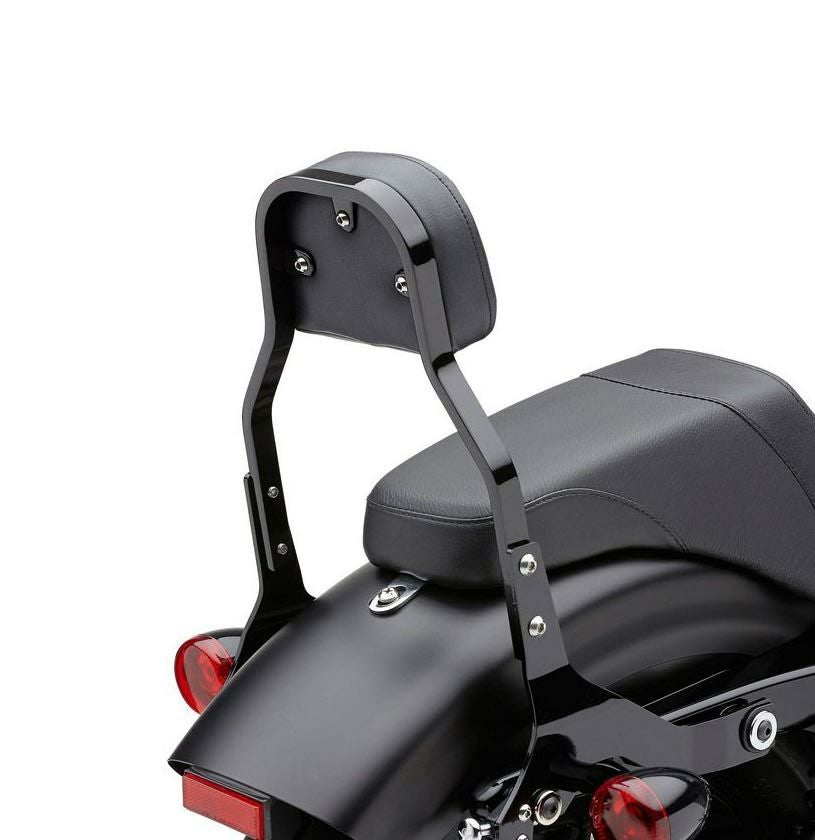 COBRA デタッチャブル・シーシーバーセット 11インチ ブラック