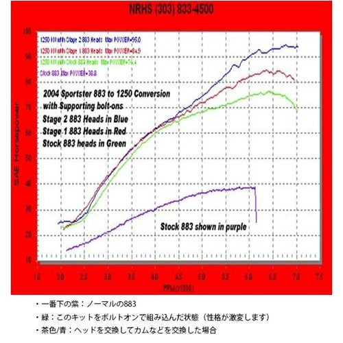 DKcustom NRHS スポーツスター1250ccコンバージョンキット (コントラスト)-02
