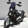 EASYRIDERS TスポーツフェアリングＫＩＴ ロング-02