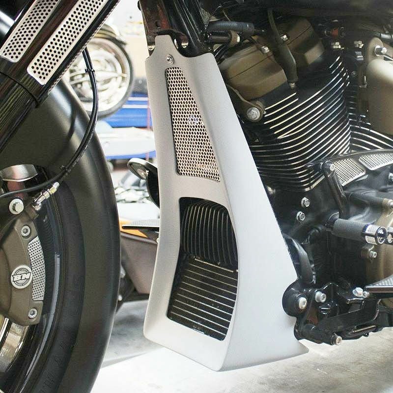 Paul Yaffe's Bagger Nation Swoop チン・スクープ プライマー-01