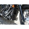 EASYRIDERS アンダーカウル-02