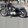 イージーライダース ダイアゴナル2　ダブルシート-01