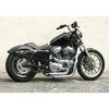 EASYRIDERS（イージーライダース）シングルガンファイターシート　スムース-03