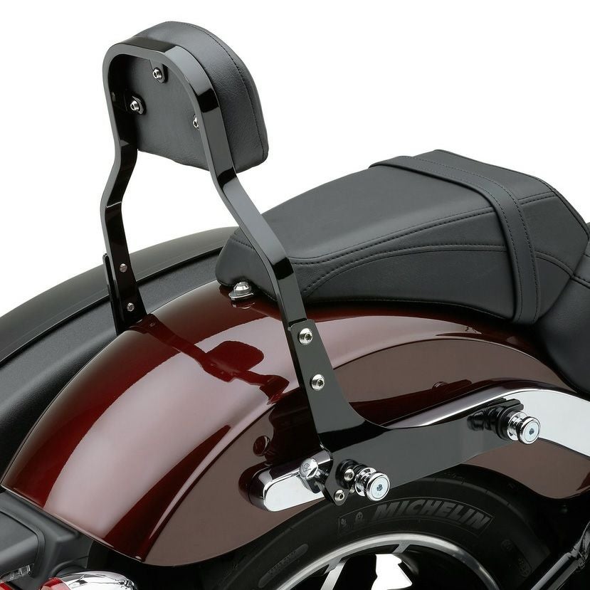 ハーレーのシーシーバー｜ハーレーカスタムパーツ専門店