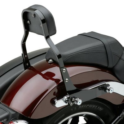 FXLR(S) ローライダー、FLSB スポーツグライド用 シーシーバー：COBRA 