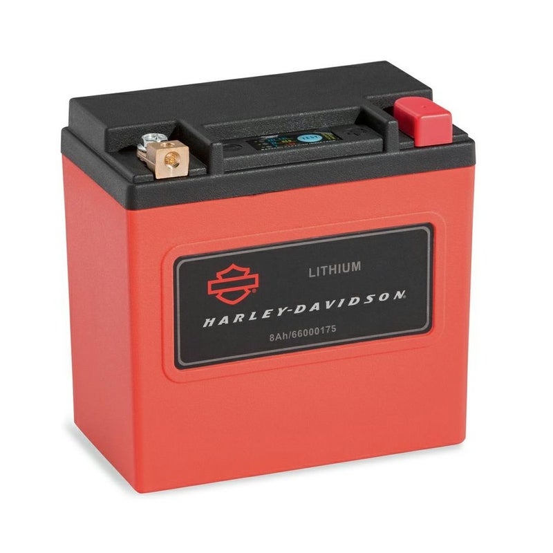 8Ah リチウム LiFe バッテリー ツーリング、トライク-02