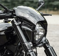 Killer Custom Aggressor フェアリング FXBR/S-09