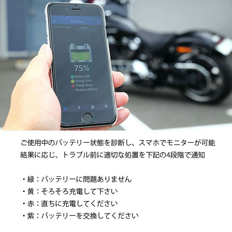 キジマ Batt Check バッテリーチェッカー-03