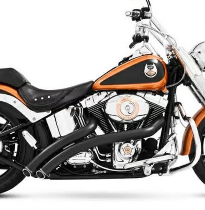 フリーダムパフォーマンス ラディカルラディウス・2-2マフラー ブラック-03