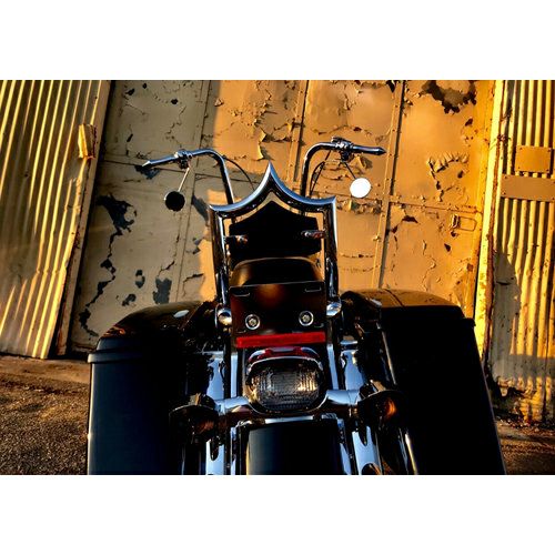 カスタムモータースポーツ エル・レイ デタッチャブル・バックレスト クローム-03