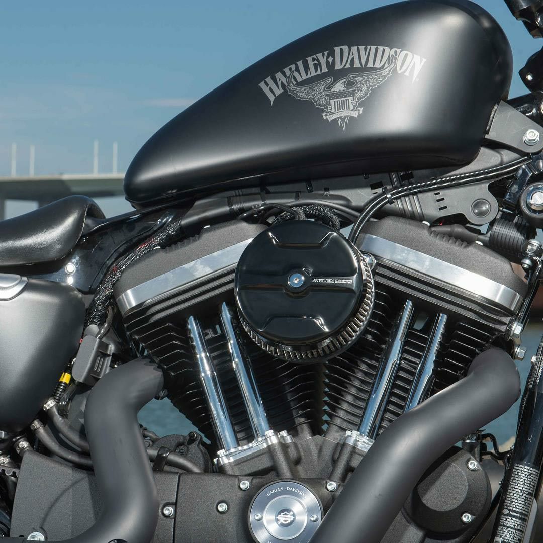 アレンネス ナックルカバー付 ビッグサッカー・ステージ1・エアクリーナーキット ブラック-03