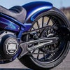 Thunderbike クロスファイア・アルミスウィングアームキット 18インチホイール用-01