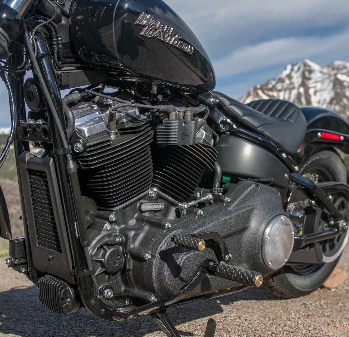 アレンネス Air Trax フットペグ ブラス-02