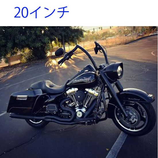サムソン トゥルーデュアル・フルエキゾーストマフラー フィッシュ