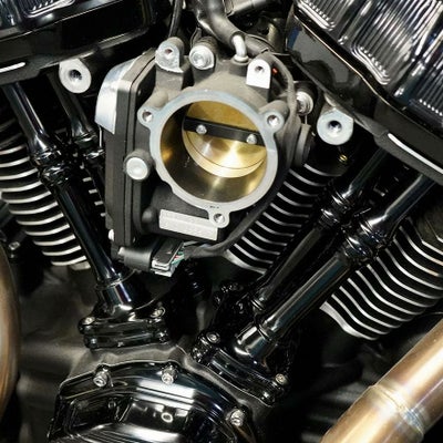 Arlen Ness 10ゲージ プッシュロッドチューブカバー ツインカム用 
