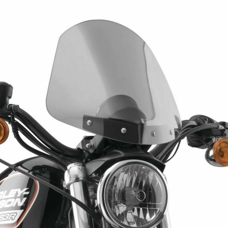 ナショナルサイクル(National Cycle)GLADIATOR・ウインドシールド　クロームマウント　ライトカラー-01