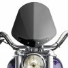ナショナルサイクル(National Cycle)GLADIATOR・ウインドシールド　ブラックマウント ダークカラー-01