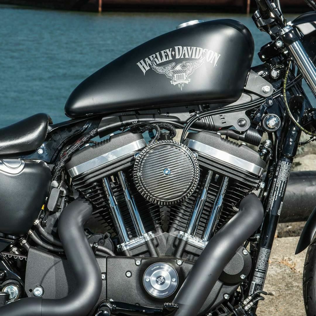 Arlen Ness Big Sucker ステージ1エアクリーナーキット カーボンカバー/シンセティックフィルター付-02