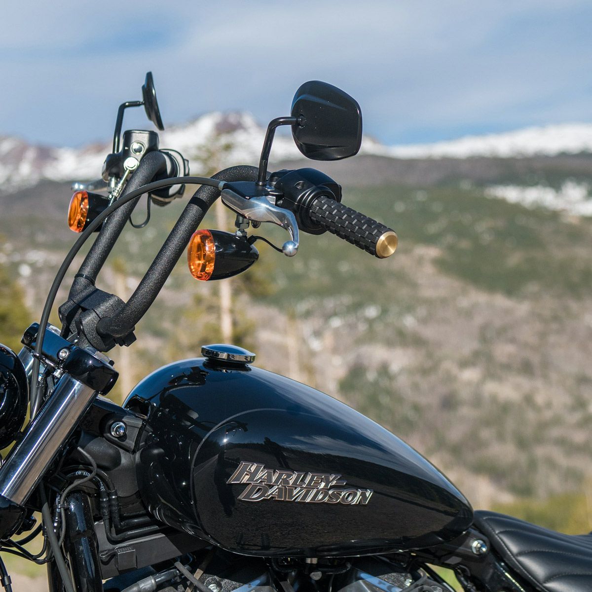 Arlen Ness エアトラック・グリップ 電子制御スロットル用 ブラス-04