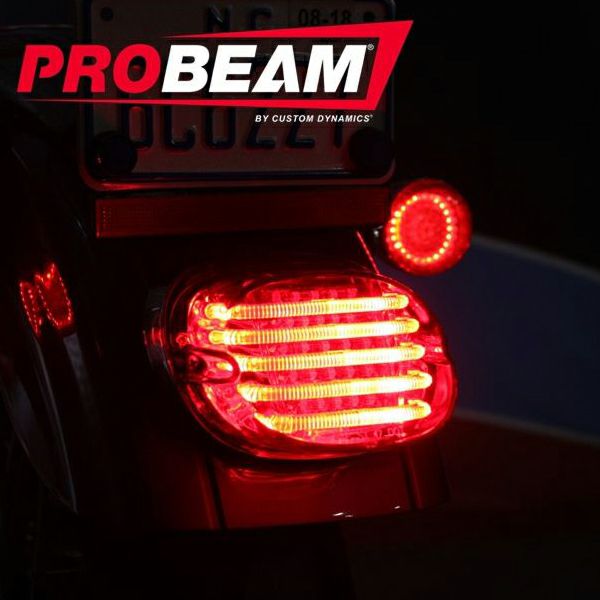 Custom Dynamics PROBEAM ロープロファイル・LEDテールライト 下ナンバー用 スモーク-03