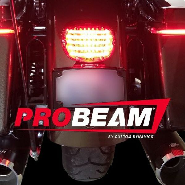 Custom Dynamics PROBEAM ロープロファイル・LEDテールライト 下ナンバー用 レッド-01