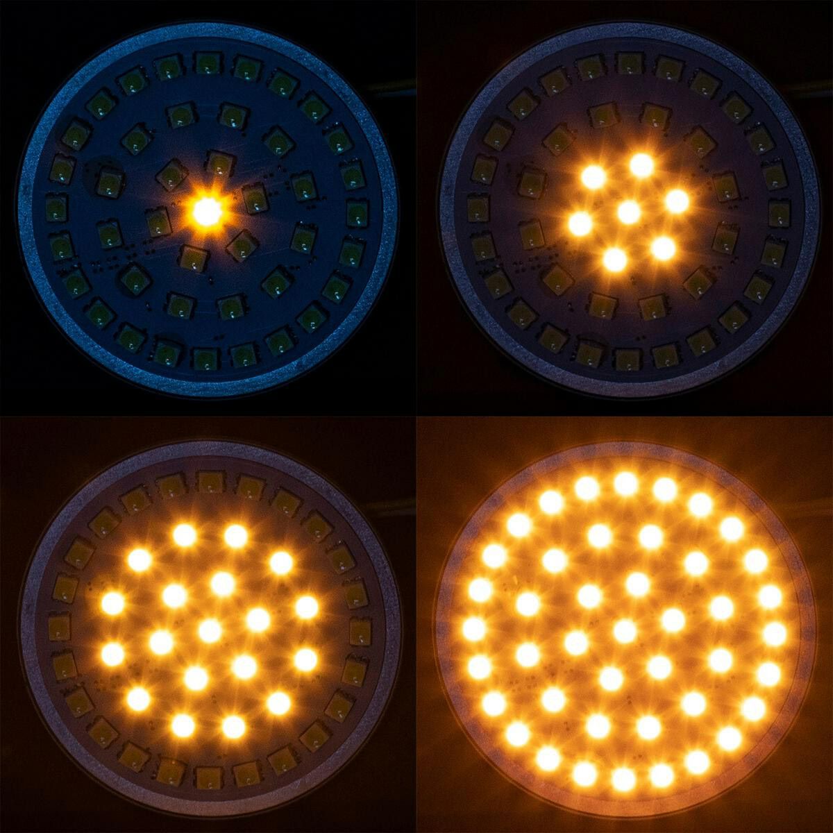 HOG WORKZ LEDフロントシーケンシャルウィンカー ブレットタイプ-02