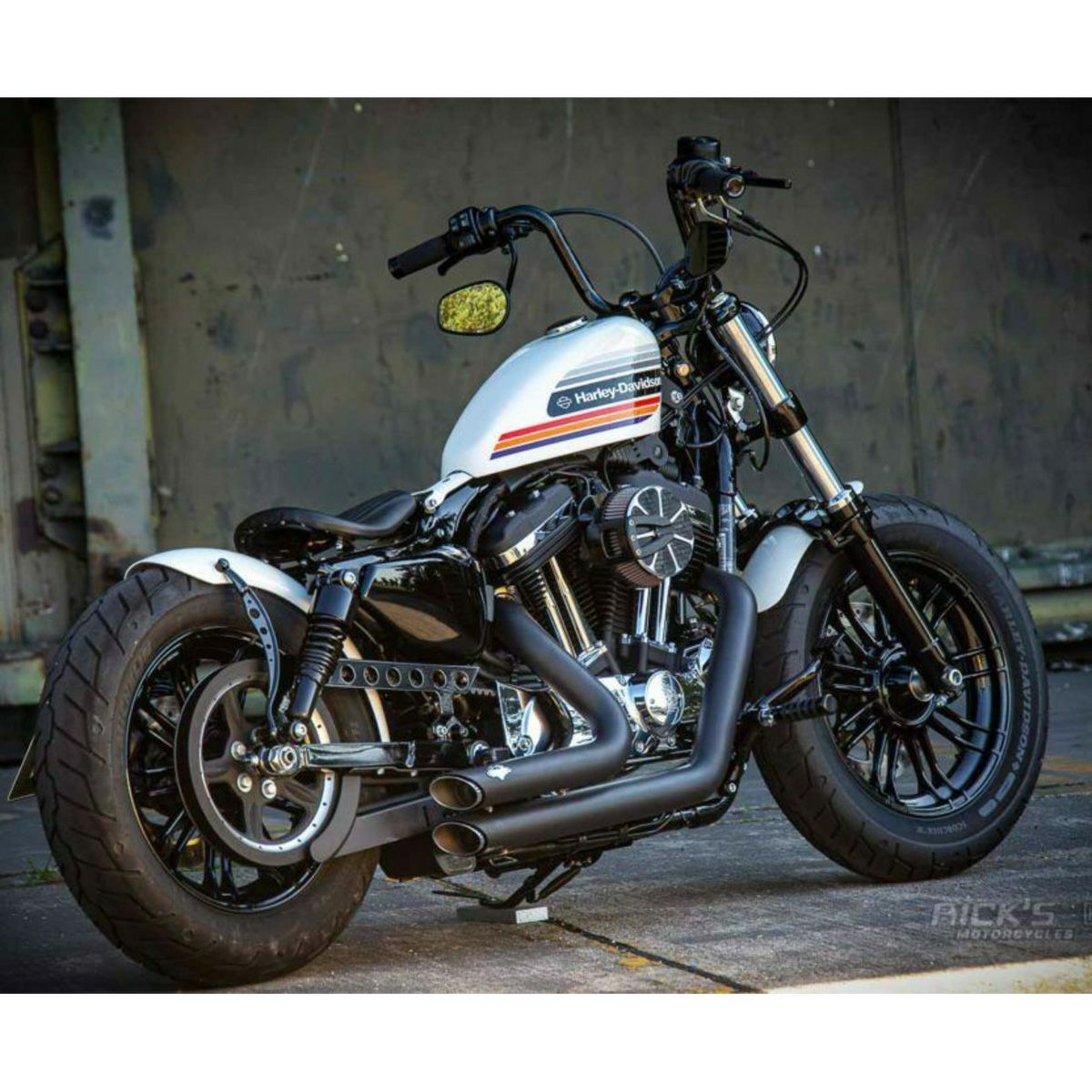 Ricks Motorcycles スポーツスター用 ラウンドホール・ベルトガード グロスブラック-05