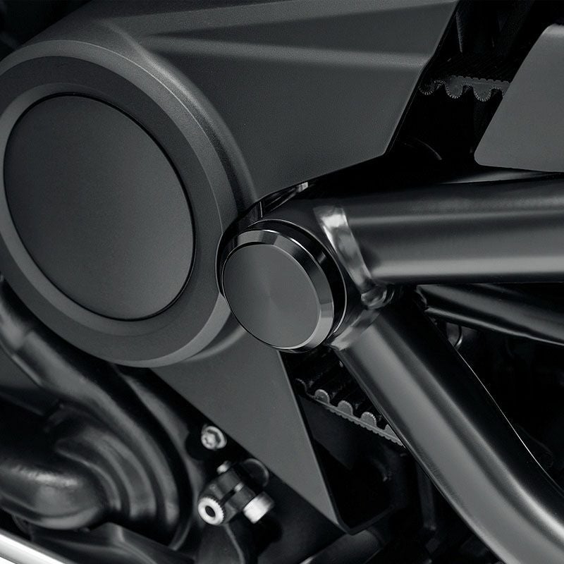 スイングアーム ピボットボルトカバー グロスブラック スポーツスター