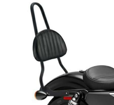 ワンピース トール リジッドマウント シーシーバー バックレストパッド