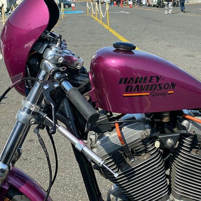 Drag Specialties ステアリングダンパー スポーツスター用 |ハーレー 